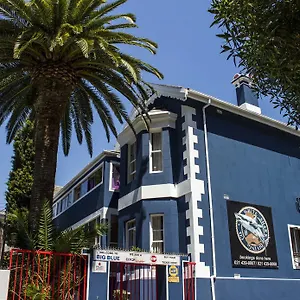 Big Blue Backpackers Auberge de jeunesse